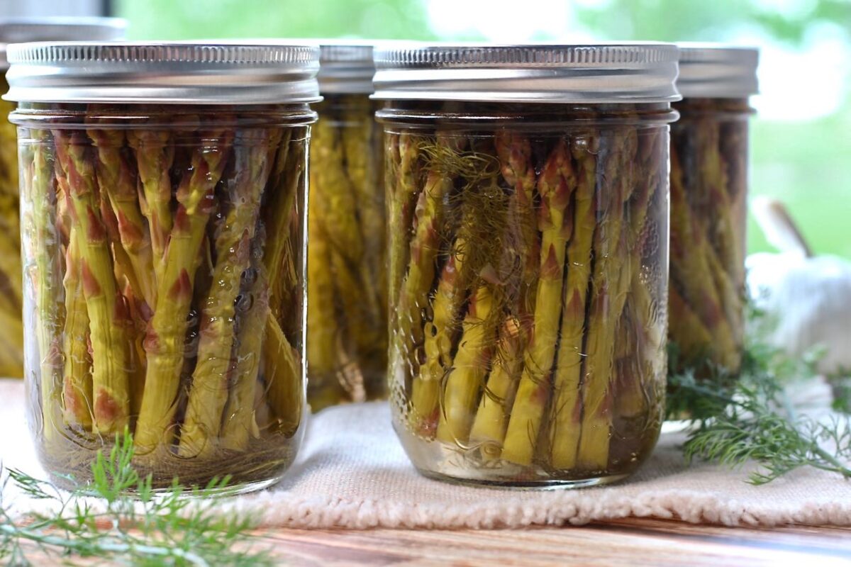 Pickled Asparagus