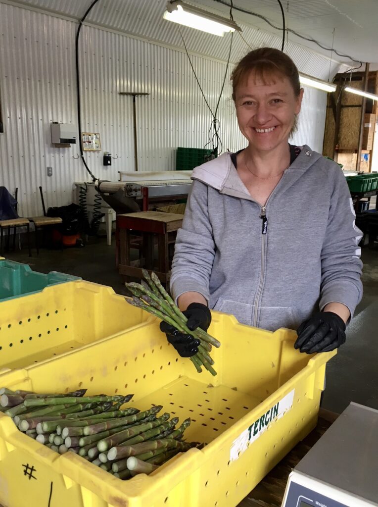 Lisa from JLK Asparagus Farms Norfolk County