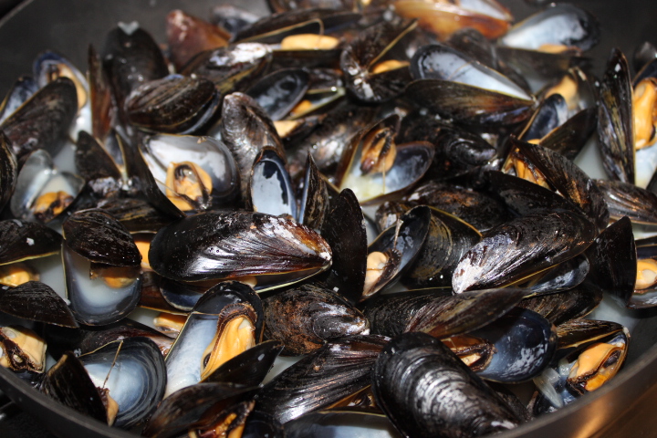 steamed mussels