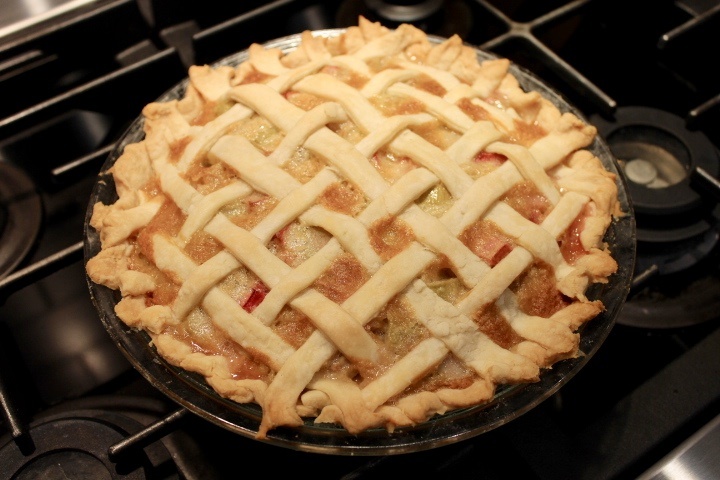 rhubarb custard pie