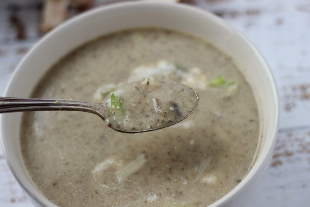 mushroom cheddar chowder