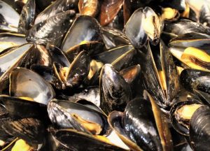 beer and steak spice mussels