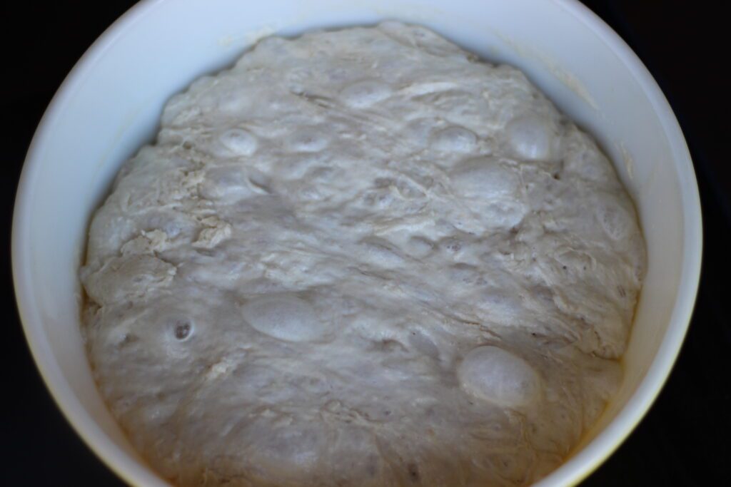 no knead bread dough