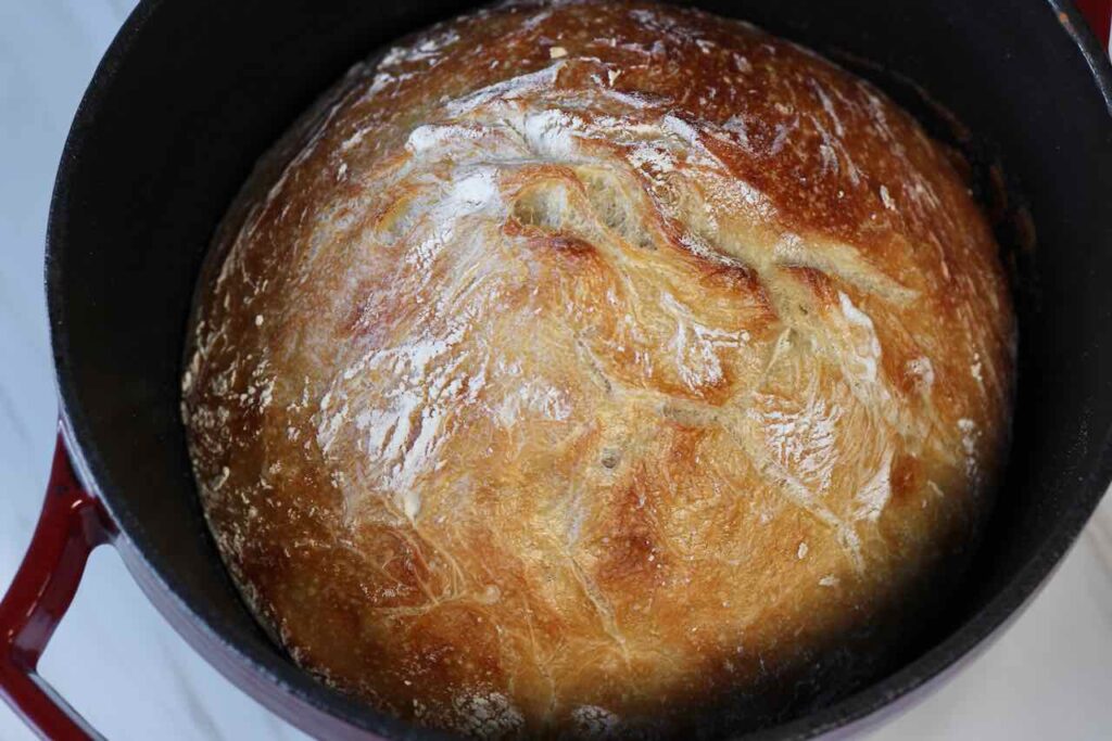 nyt no knead bread