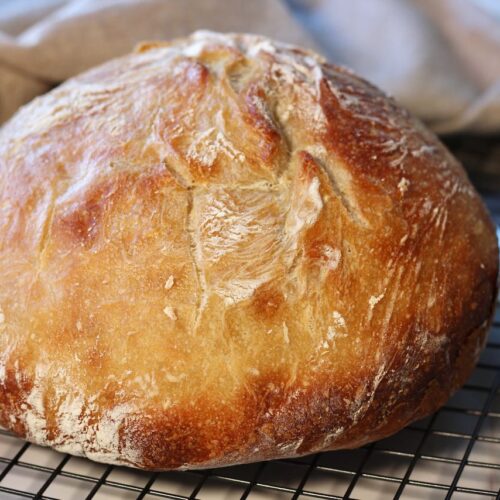 new york times no knead bread