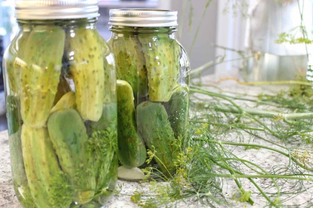 how to make dill pickles