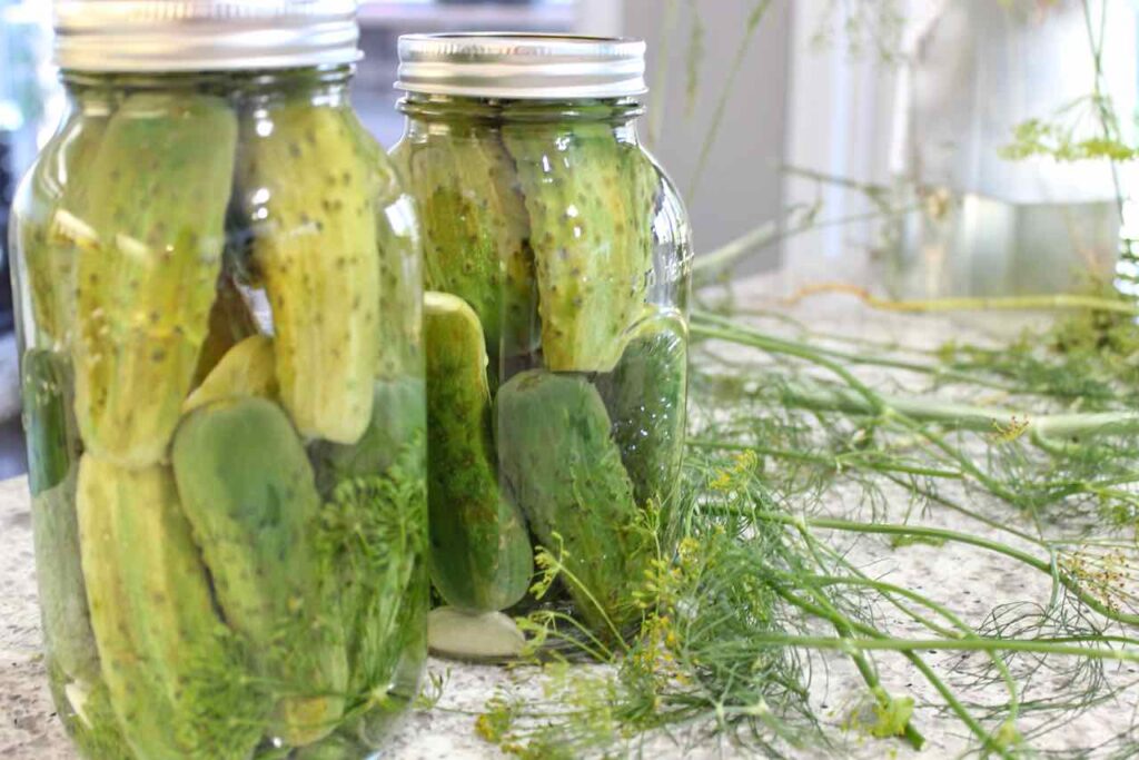 homemade dill pickles