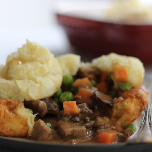 shepherds pie yorkies